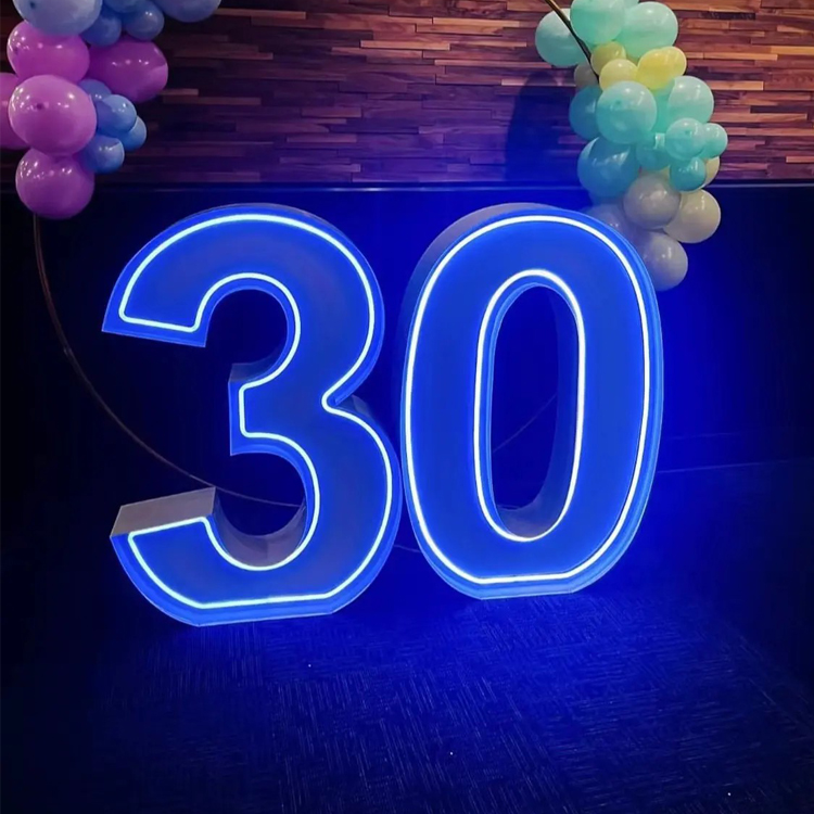 Light Emitting Diode RGB Neon  - Light Up Letters Marquee review and price