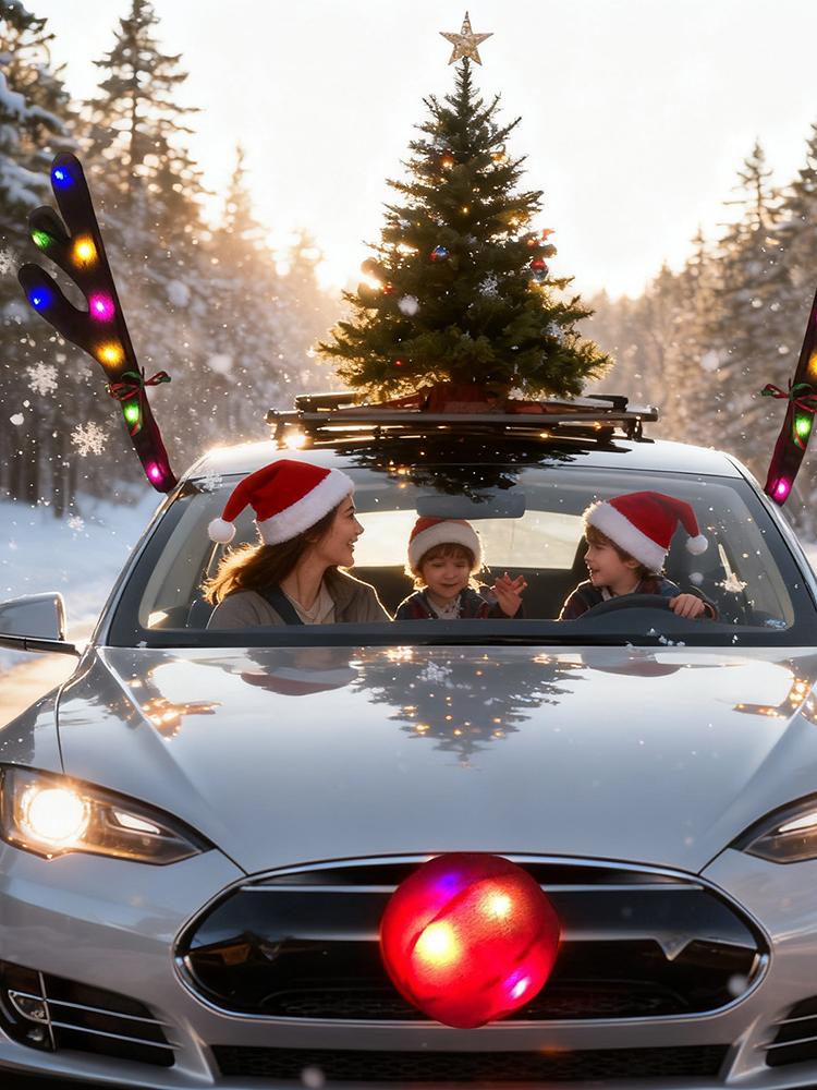 Car Reindeer Antlers with Nose - Up Lighting Decor review and price